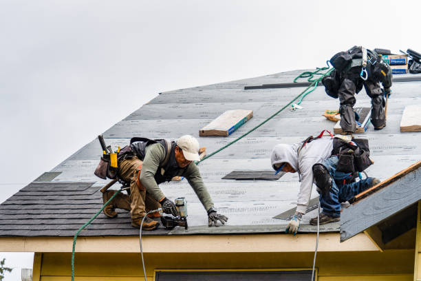 Professional Storm Damage Roof Repair technician working in Rogers, KY
